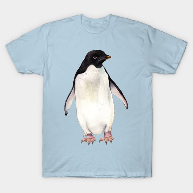 Adelie Penguin T-Shirt by IndiasIllustrations